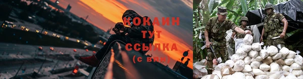 каннабис Вяземский