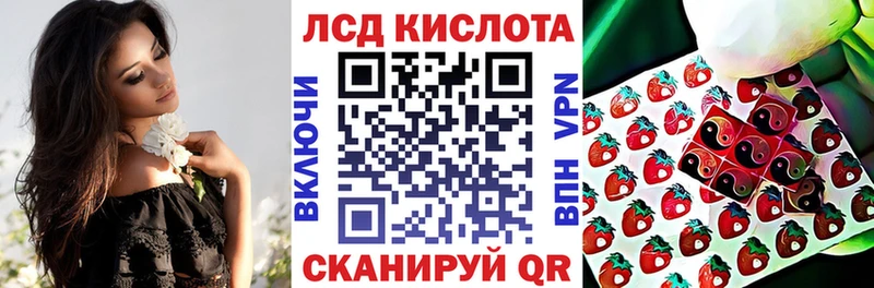 kraken ТОР наркота Ефремов Марки 25I-NBOMe 1500мкг